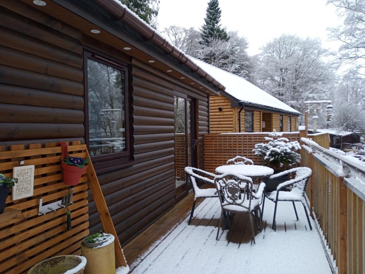 Charming Lodge Cosy Comfortable Ideal Location Blairgowrie and Rattray Экстерьер фото